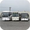 Dineen Group bus images